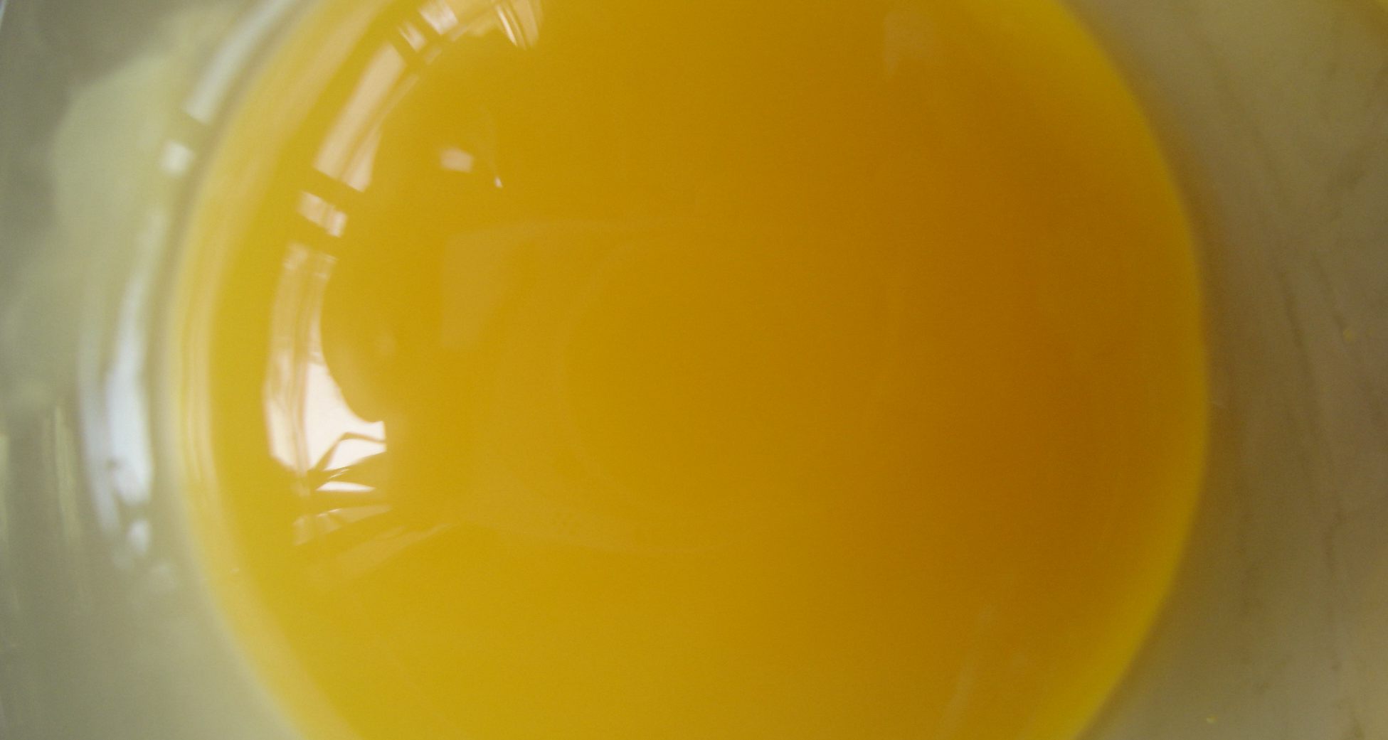 柏树叶粉饲喂蛋鸡好！